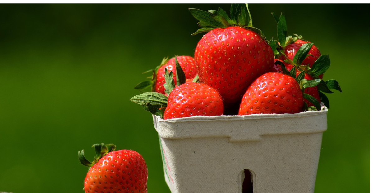 Strawberries 